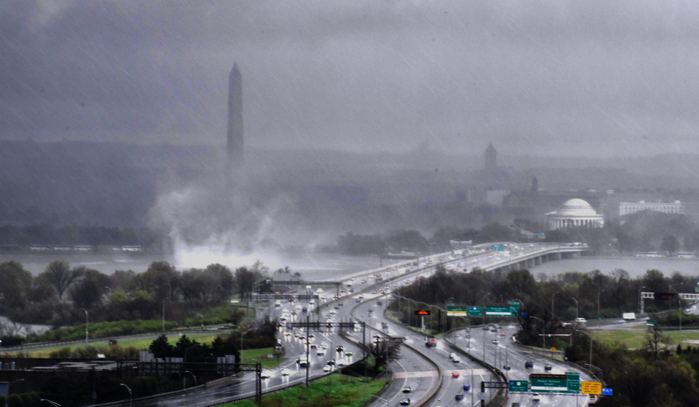 Jolene—Palm Sunday Word for Washington DC