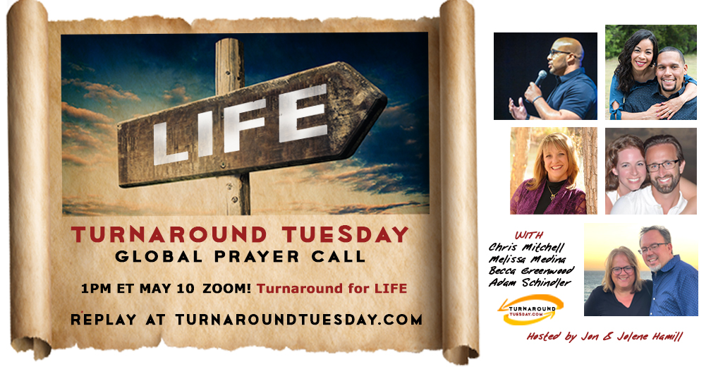 <strong>ROUND TWO—TURNAROUND FOR LIFE!—1PM Turnaround Tuesday Zoom with Becca Greenwood, more!</strong>