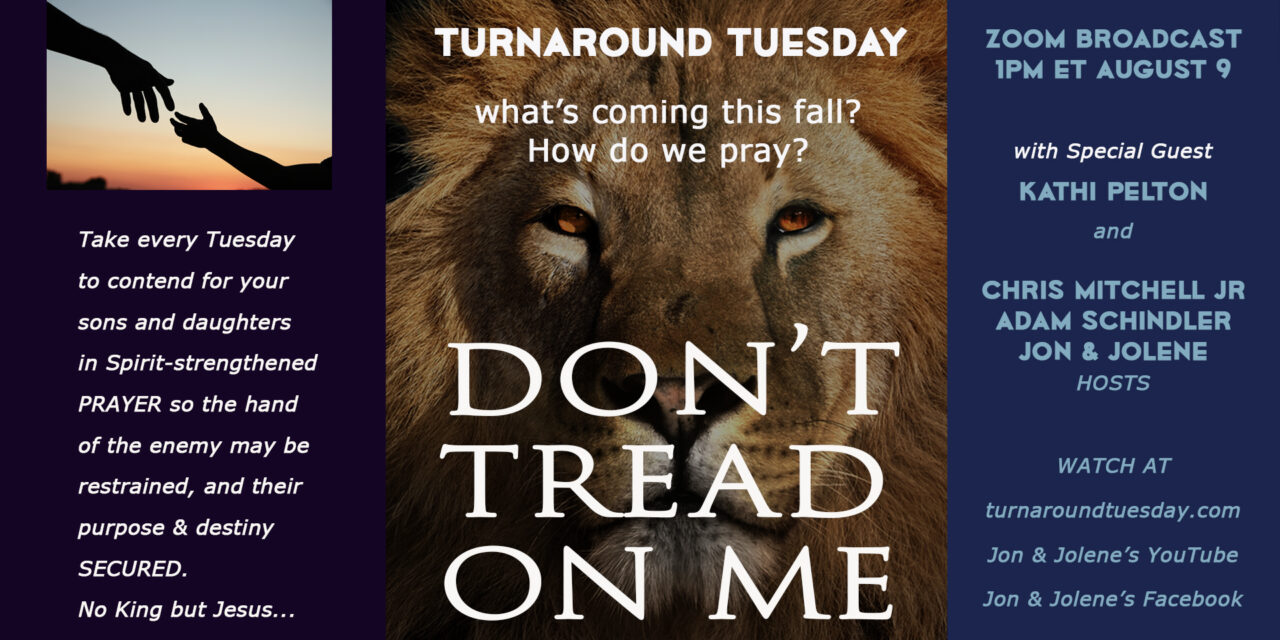 <strong>DON’T TREAD ON ME! 1pm TURNAROUND TUESDAY ZOOM<br>What’s coming this Fall? How do we pray?</strong>