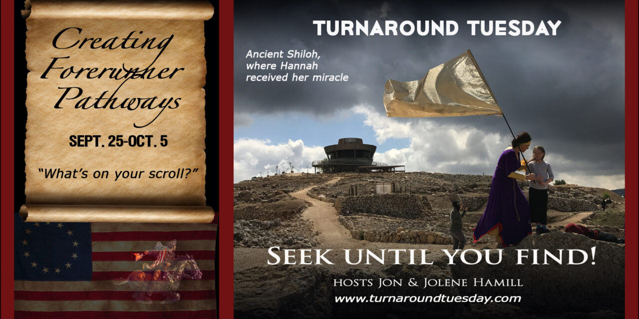 <strong>TURNAROUND TUESDAY—SEEK UNTIL YOU FIND!<br>Live Broadcast 1pm ET</strong>