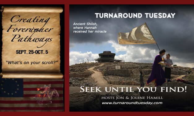 <strong>TURNAROUND TUESDAY—SEEK UNTIL YOU FIND!<br>Live Broadcast 1pm ET</strong>