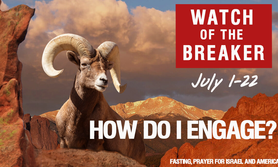 WATCH OF THE BREAKER—HOW DO I ENGAGE? POST + VIDEO