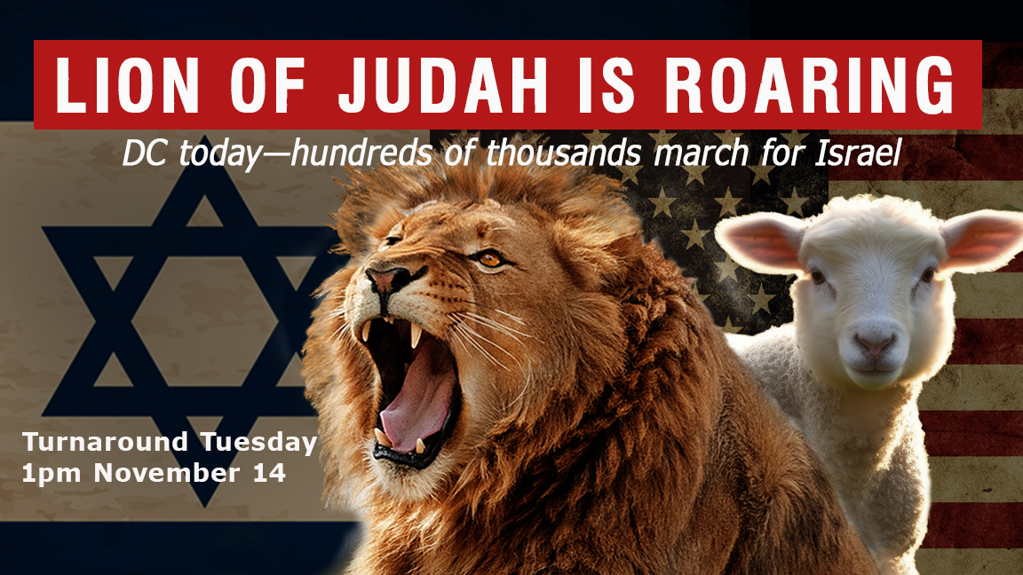 THE LION OF JUDAH IS NOW ROARING! - Lamplighter Ministries