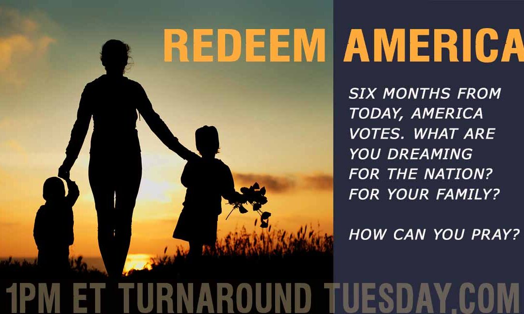 TT REDEEM AMERICA—SIX MONTHS FROM TODAY AMERICA VOTES!