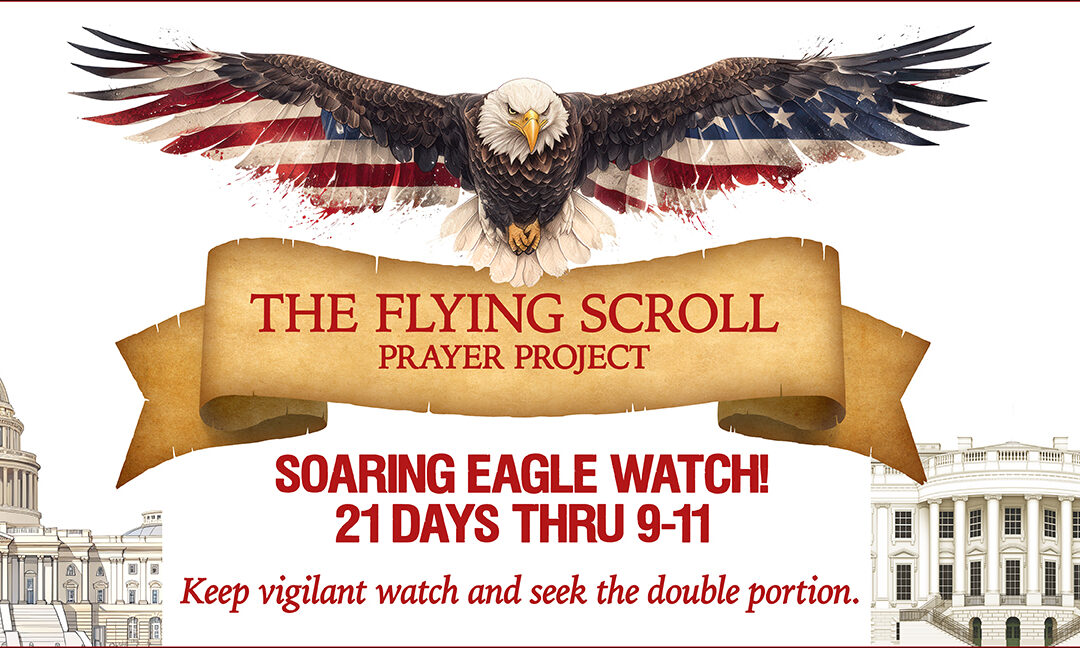 LAUNCHING SOARING EAGLE WATCH! VIDEO + POST